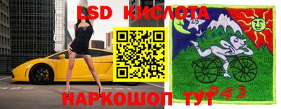 шишки Ефремов