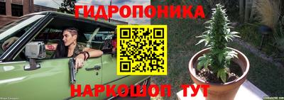 шишки Ефремов